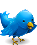 Follow us on Twitter