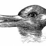 Understanding Ludwig Wittgenstein's Duck-Rabbit